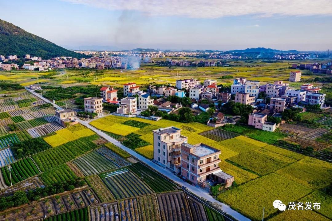 给力1 52！茂名化州获评 广东省卫生城市 、52个镇获评 广东省卫生镇 ！ 澎湃号·政务 澎湃新闻 The Paper