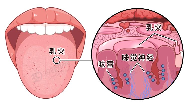 人體最柔軟的器官居然還有這5種用處