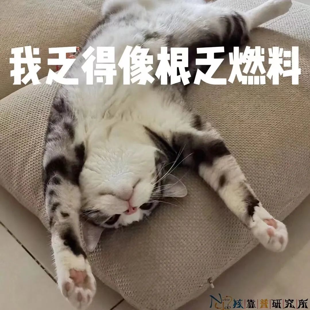 我乏得像根燃料棒