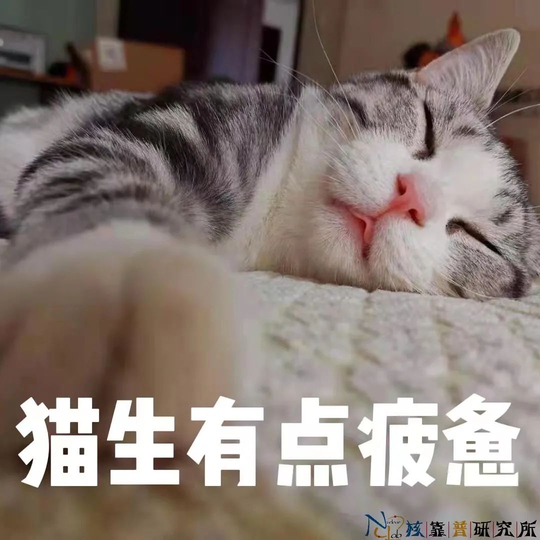 我乏得像根燃料棒