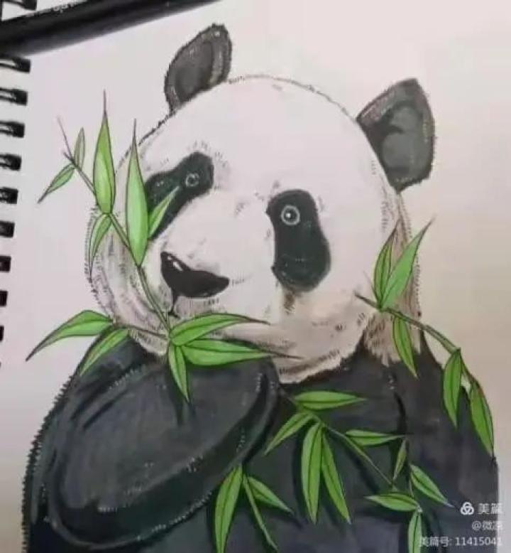 玉田县大安镇中学开展每个人心中都有一只熊猫寒假绘画迎新春迎冬奥