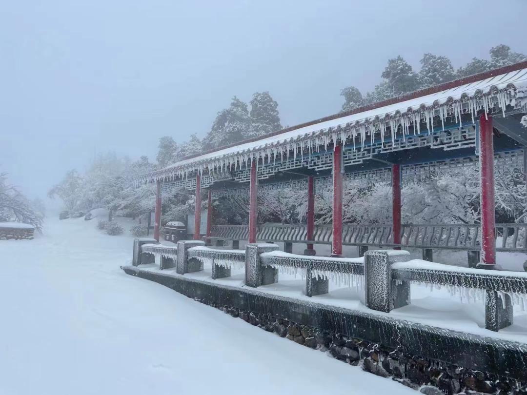梅岭又一次团聚与欢呼它凝结着我们雪来了▼南昌雪景徐徐展开一幅幅银