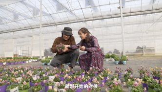 浙江女子回村种花7年，每年卖出300万盆花，治愈百万网友