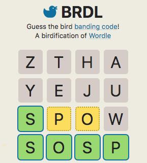 Love the Hit Game Wordle? Try BRDL, a Bird-Inspired Spinoff