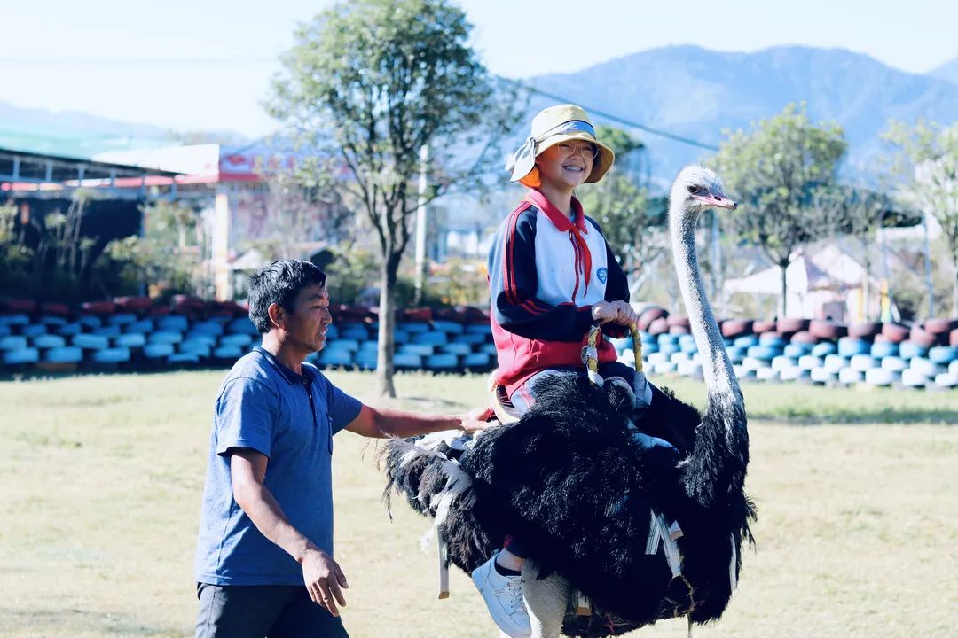 在腾冲过大年丨相约腾冲鸵鸟庄园乡村旅游文化美食节