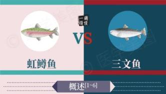 一圖讀懂丨虹鱒魚 VS 三文魚