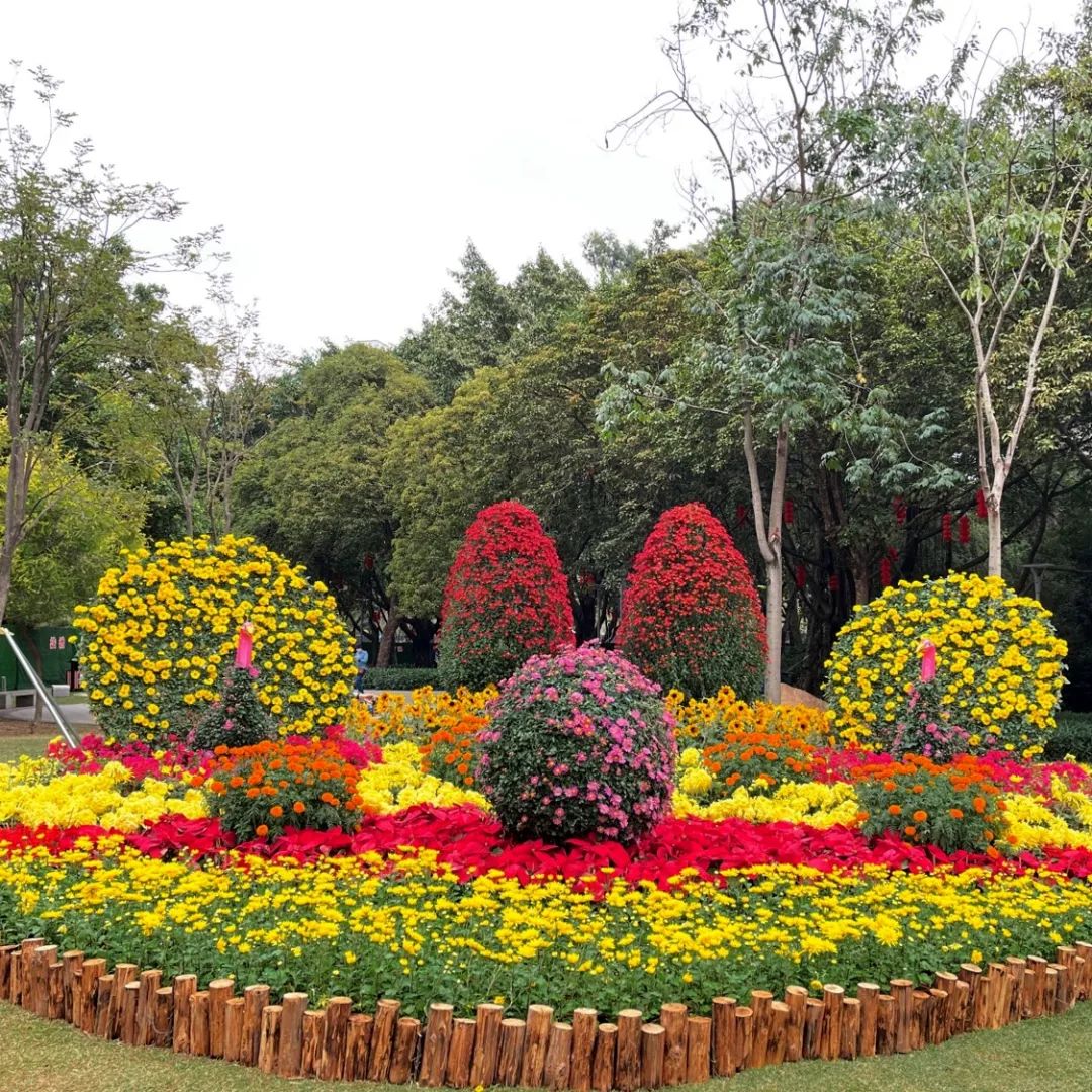 天河花带花境和你共度佳节