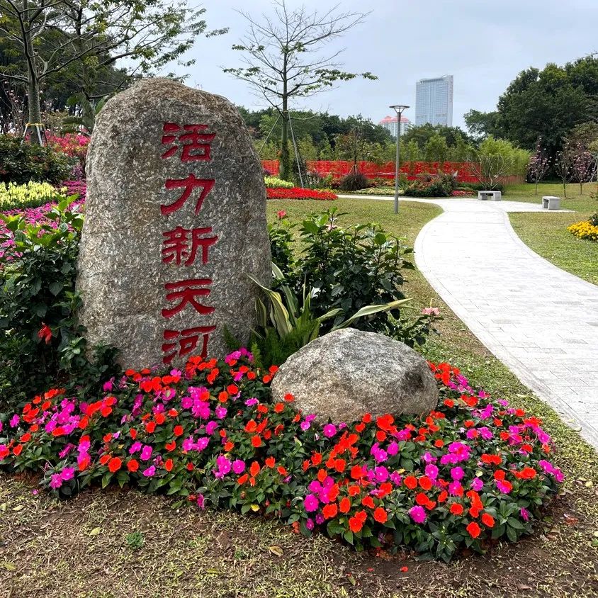 花境活力新天河4此外,天河兒童公園,天河體育中心南門等地點,也有不同