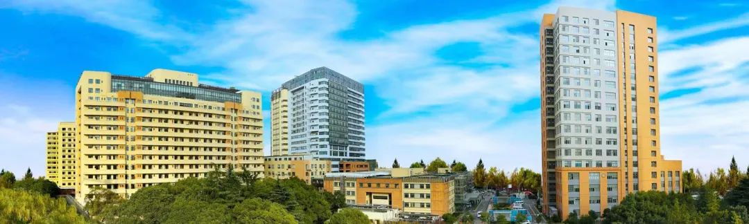 上海市第六人民医院壬寅年新春贺词