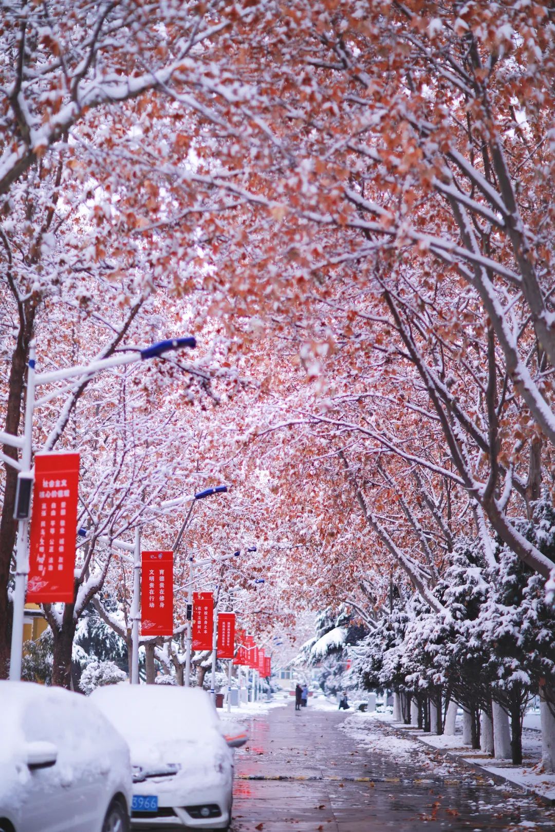 除夕到,看师院红装素裹,万象更新迎新春!