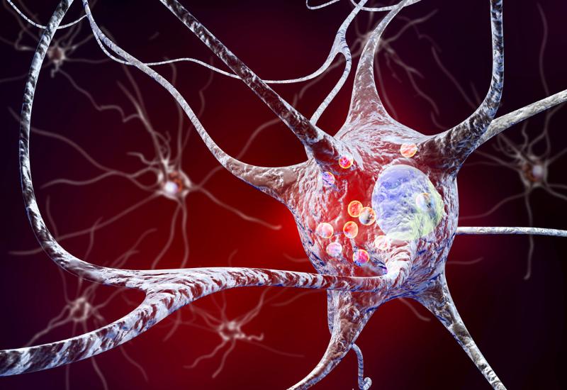 动物怎么麻醉睡眠和麻醉期间大脑活动的不稳定性是阿尔茨海默病的病理生物学基础_https://www.jmylbn.com_新闻资讯_第1张