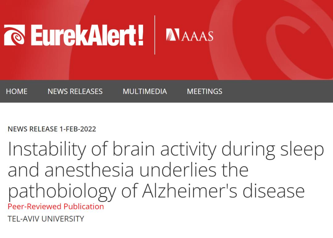 动物怎么麻醉睡眠和麻醉期间大脑活动的不稳定性是阿尔茨海默病的病理生物学基础_https://www.jmylbn.com_新闻资讯_第2张