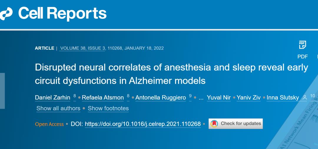 动物怎么麻醉睡眠和麻醉期间大脑活动的不稳定性是阿尔茨海默病的病理生物学基础_https://www.jmylbn.com_新闻资讯_第3张