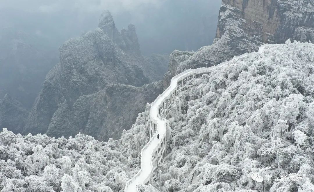 2月1日,市民和遊客在張家界天門山景區觀賞雪後美景,歡度春節.