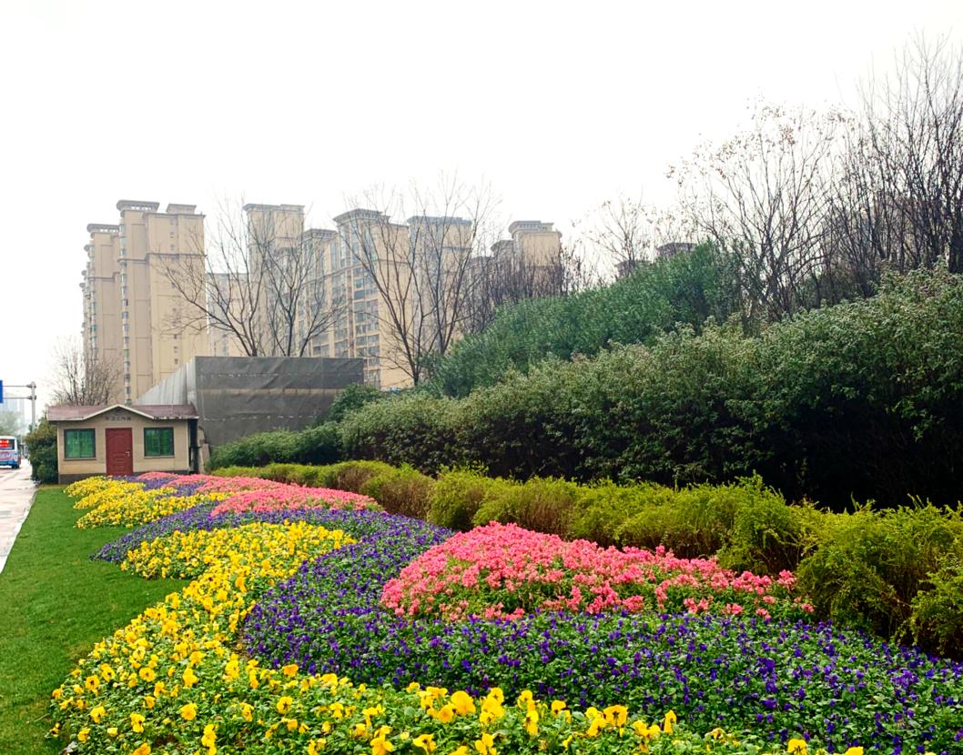 据了解,区园林绿化维护中心进一步提升辖区绿化品味,呈现整洁,清爽的