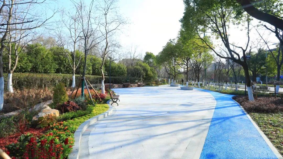 滨水漫步林下穿行6公里环社区绿道已建成开放快来了解下
