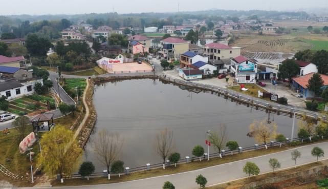 新春走基层大成桥镇鹊山村产业规模越做越大日子越过越好了