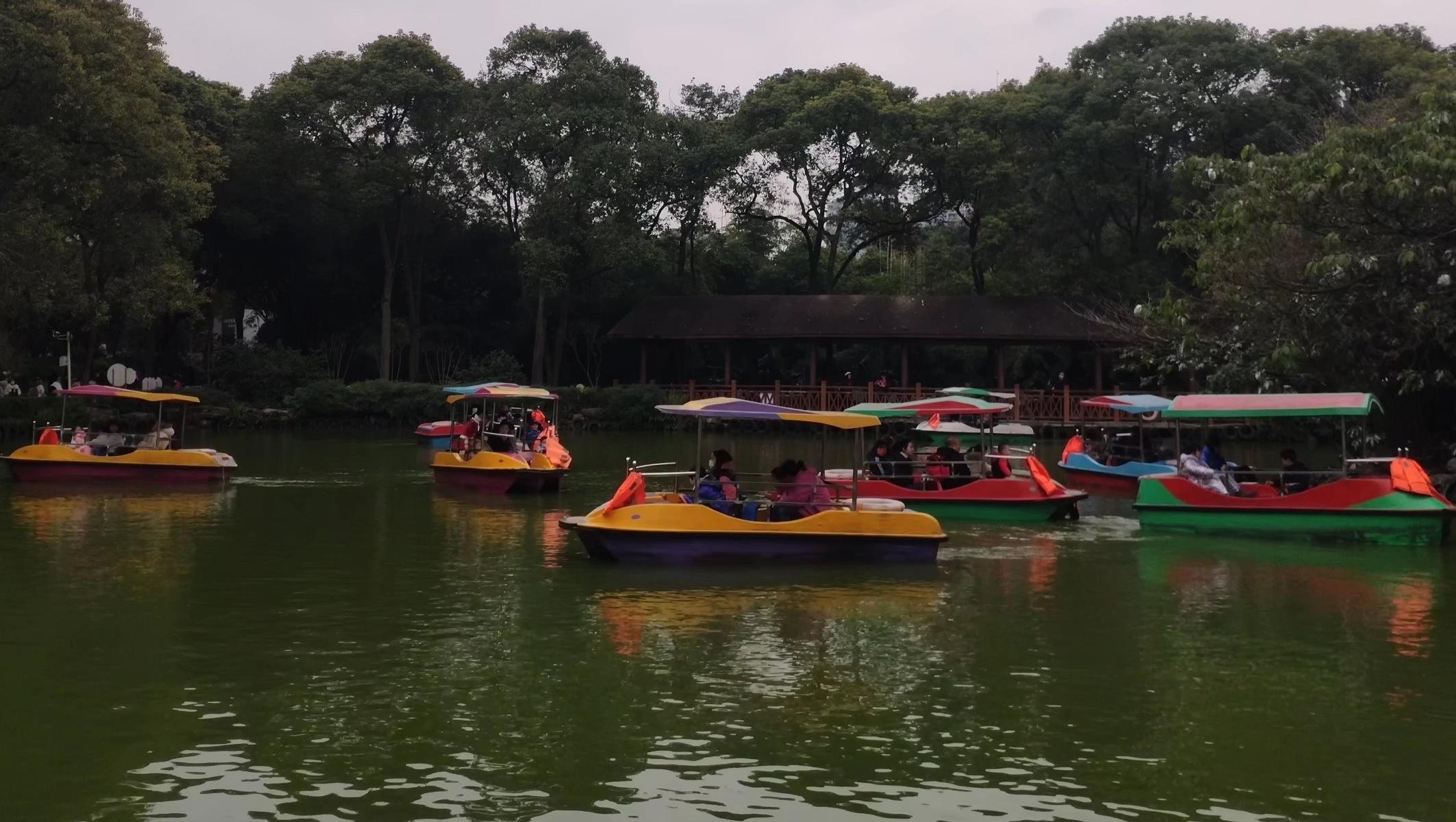 虎年春节期间，全国各地游客在重庆动物园里划船赏景