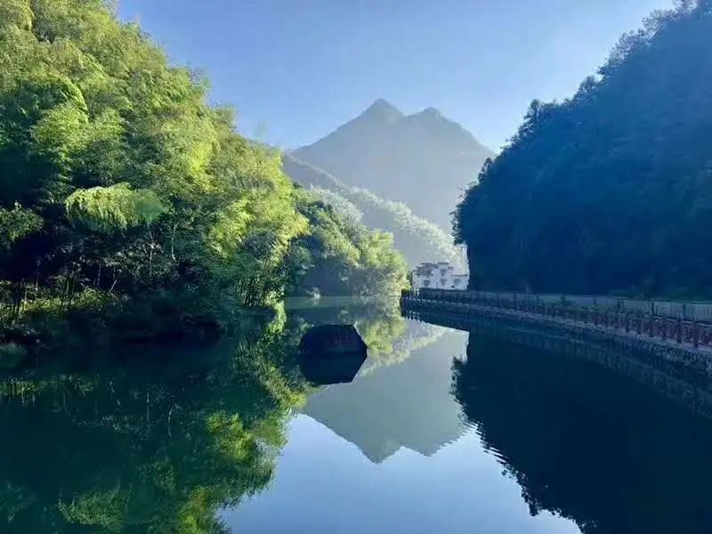 檀溪镇为浦江县森林覆盖率最高的乡镇,有省级森林公园水竹湾,三角潭和
