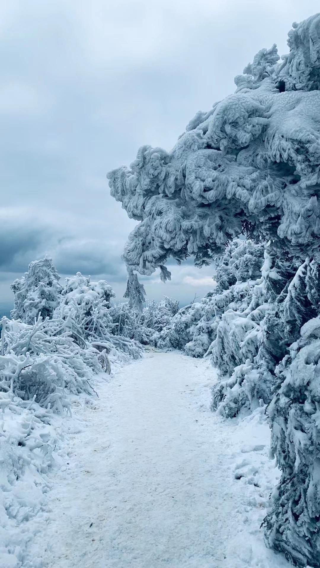 太美了南昌版庐山雪景
