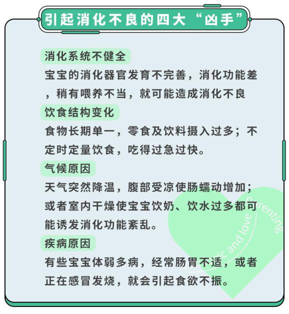 宝宝又消化不良了除了益生菌还有什么好对策