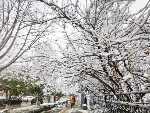 蚌埠迎來虎年首場降雪這場雪要下到