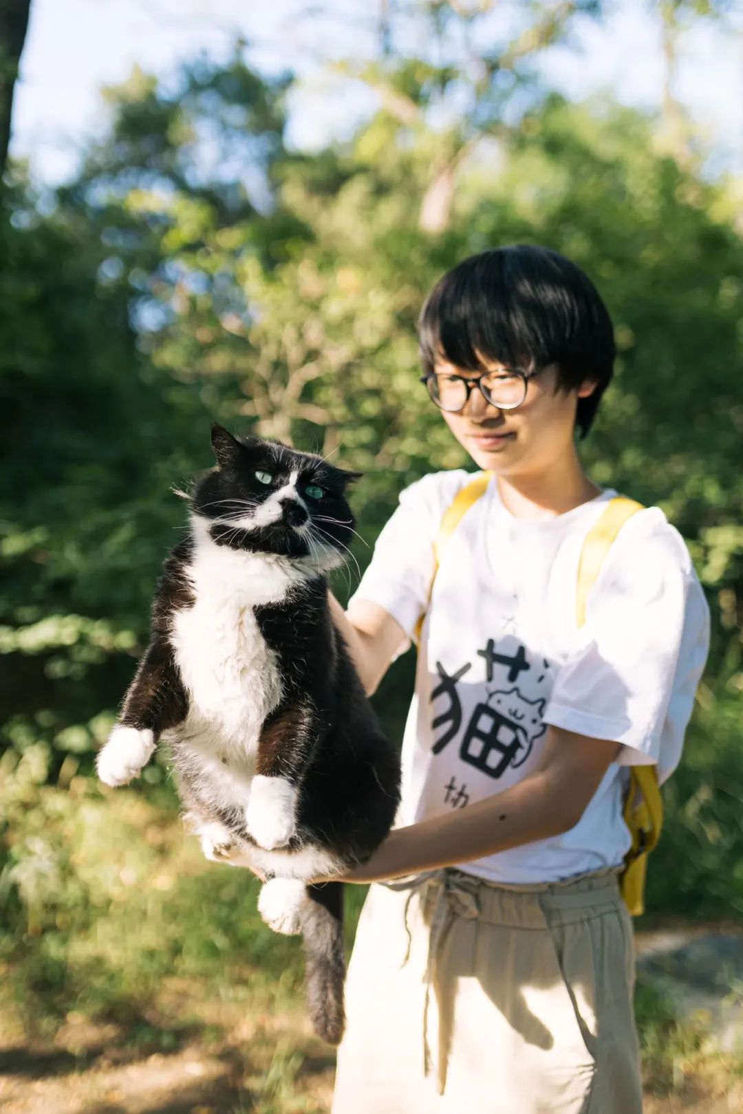 北大网红猫“香波”：在镜头前生活，已获赠一吨猫粮-新闻频道-和讯网