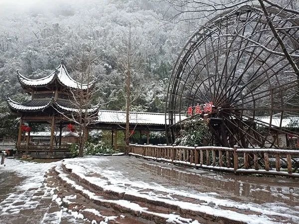 大雪!暴雪!湖南多地又又又下雪了!