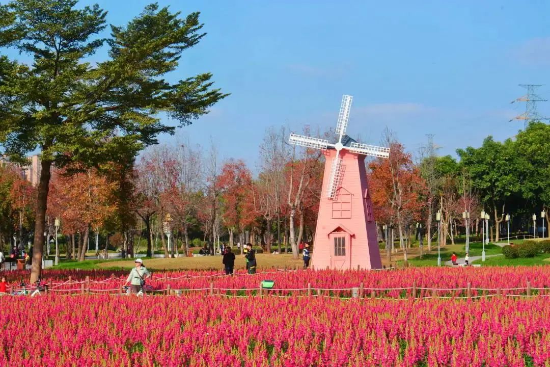 佛山春日限定美景等你花式打卡