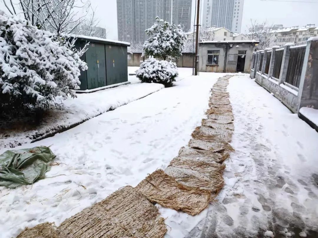 南铁积极应对雨雪天气保障您的出行安全