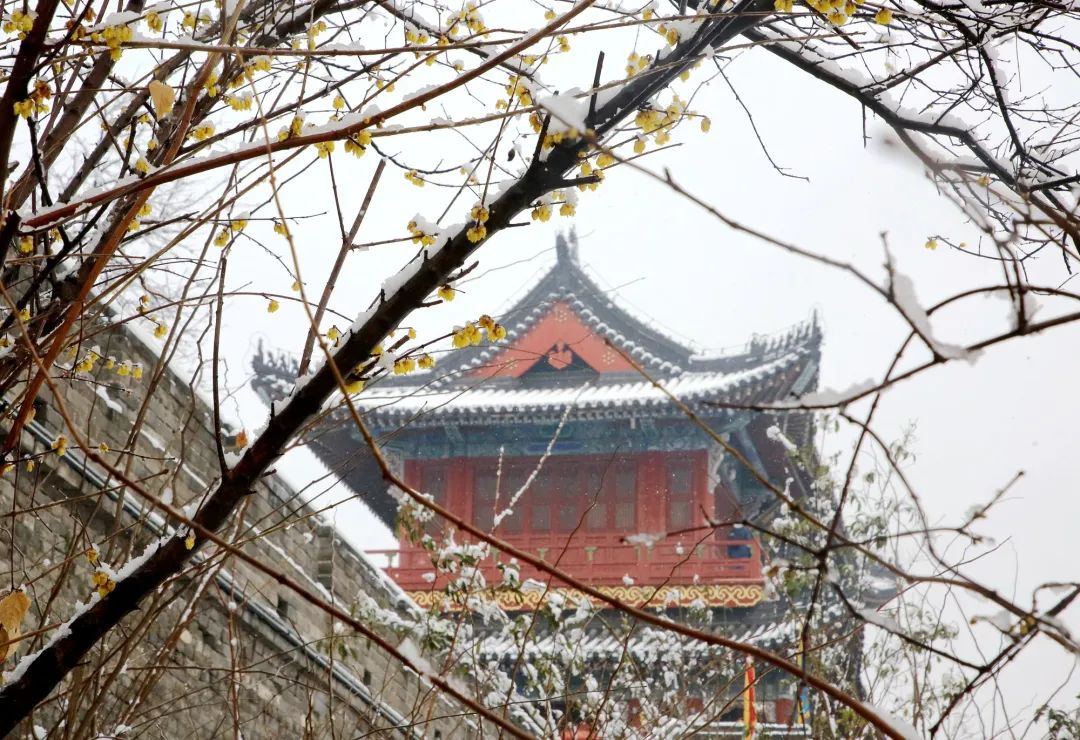 荆州雪景图片图片