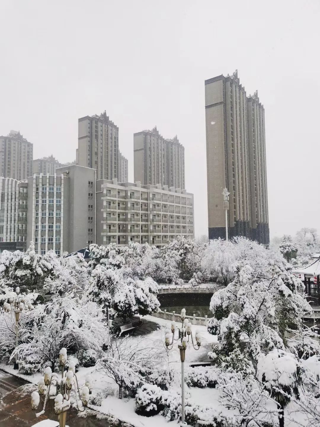 孝感雪景图片