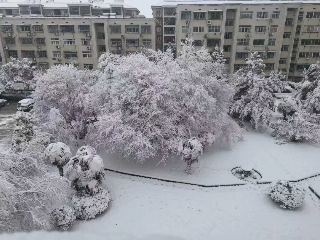 孝感雪景图片