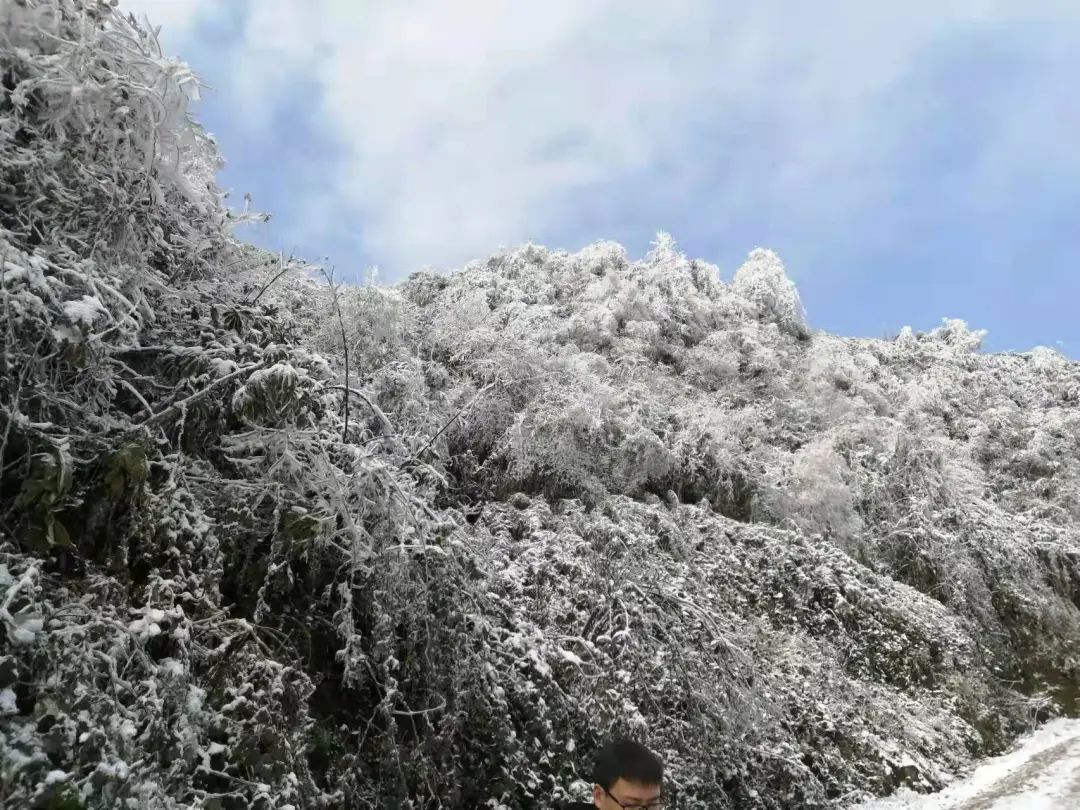 宜宾附近下雪的景点图片
