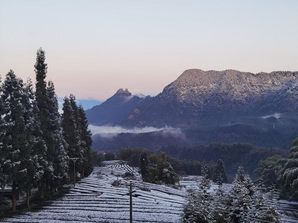 宜宾大雪山图片