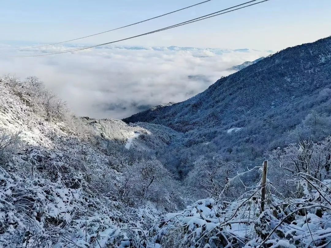 宜宾天宫山下雪图片