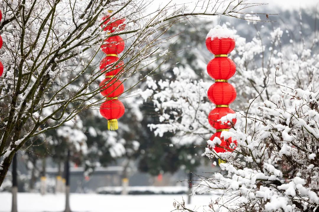 雪打灯笼兆丰年图片