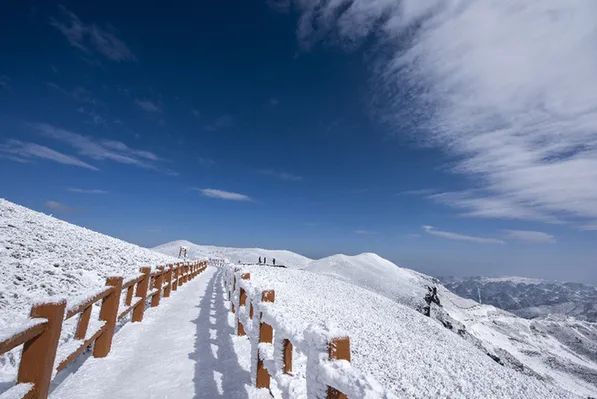 (李學友 攝)雪國韭菜坪宛若童話世界.