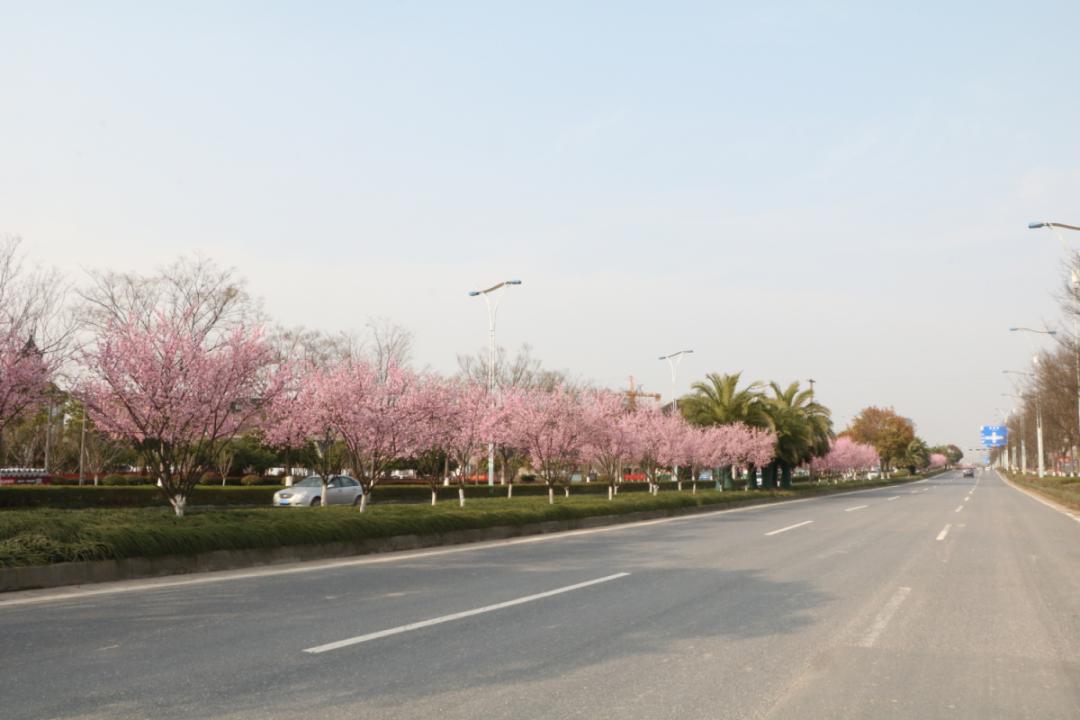 臨丁路途經南苑街道,星橋街道,西至上城區交界處,東至臨平望梅路高架