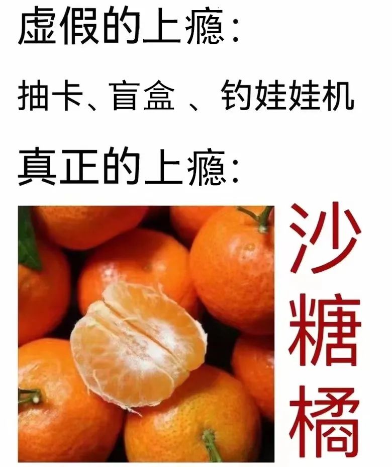 陷入沙糖桔循环，过年炫到停不下来