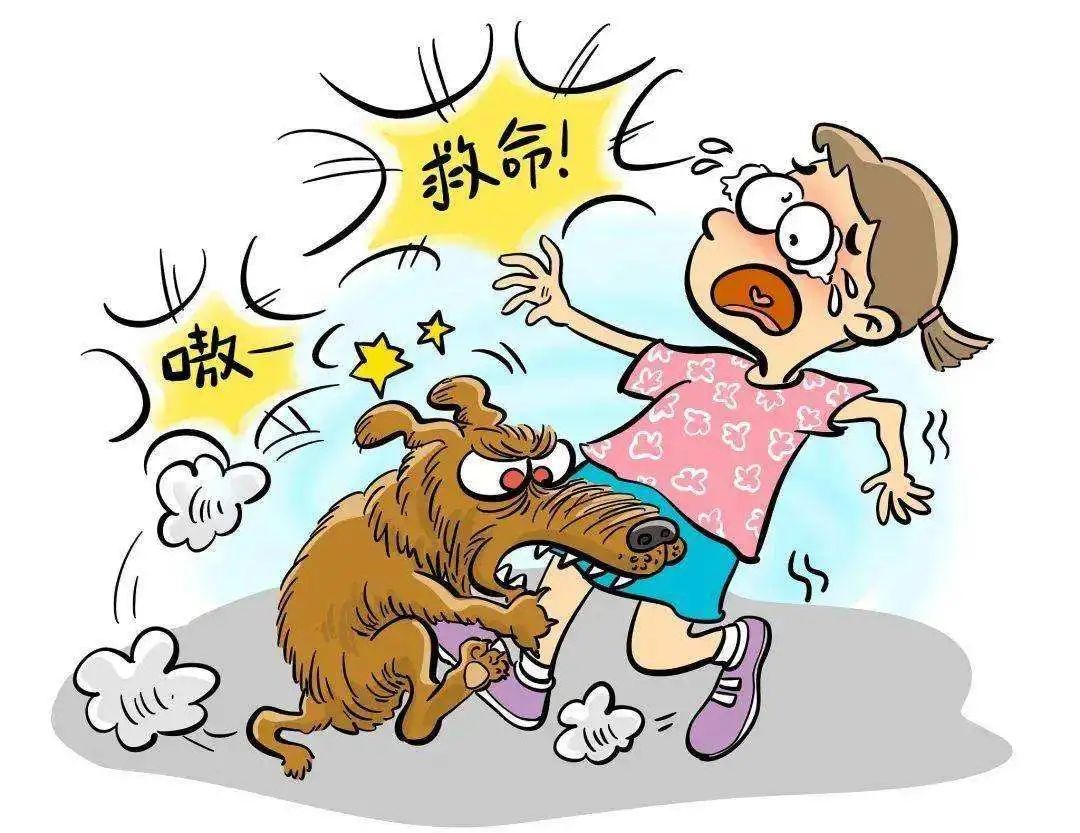 自家狗狗抓伤需要打针吗？ - 知乎