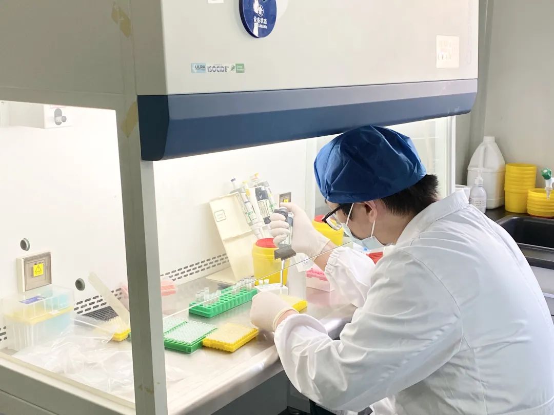 战疫纪实走近疫情中的pcr实验室