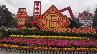 重庆：动物园鲜花盛放亮相虎年新春，市民赏花游园年味满满