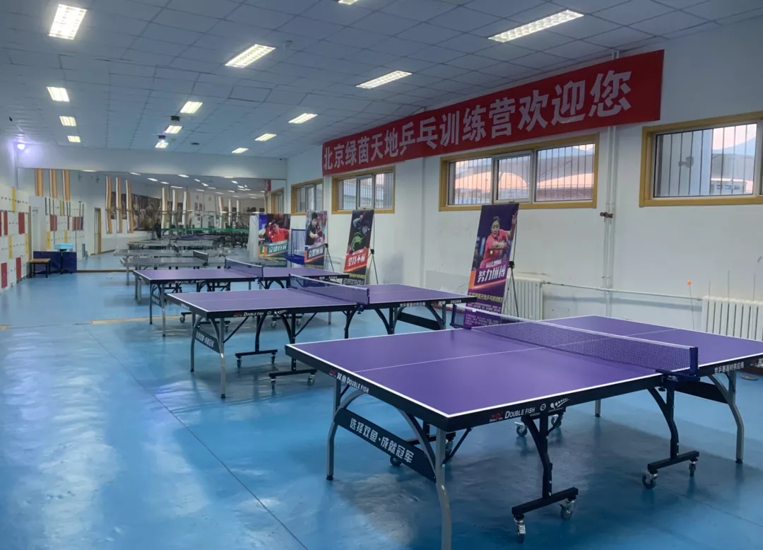 南山文体中心乒乓球馆图片