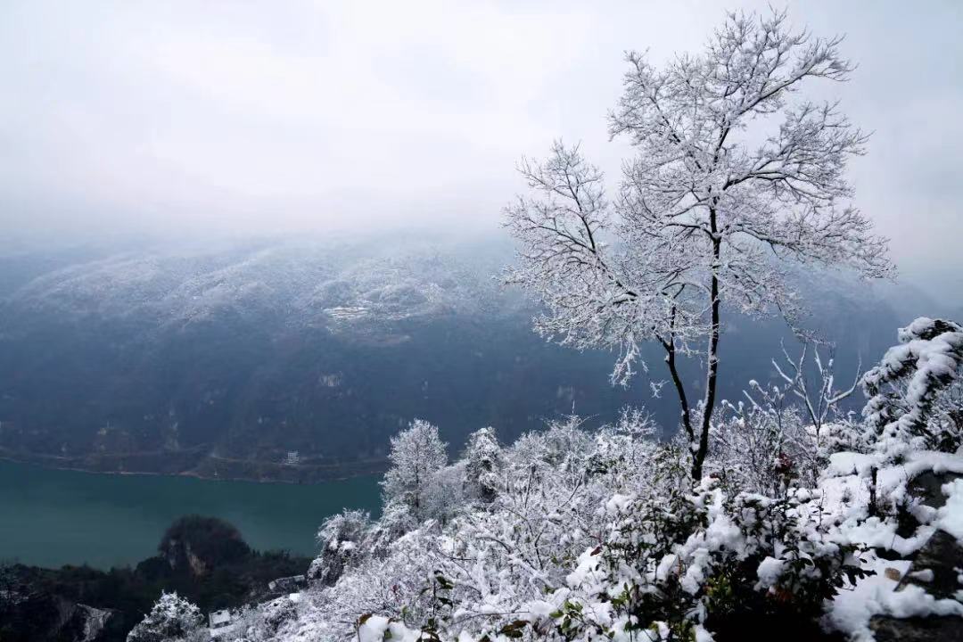 奉节三角坝雪景图片图片