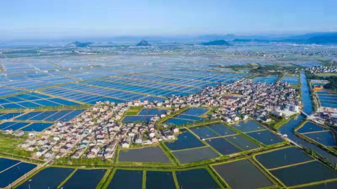 超燃长街蛏子连续登上央视平台