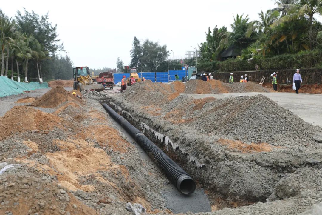 期待！海口西海岸贯通更新工程进度来了→_澎湃号·政务_澎湃新闻-The Paper