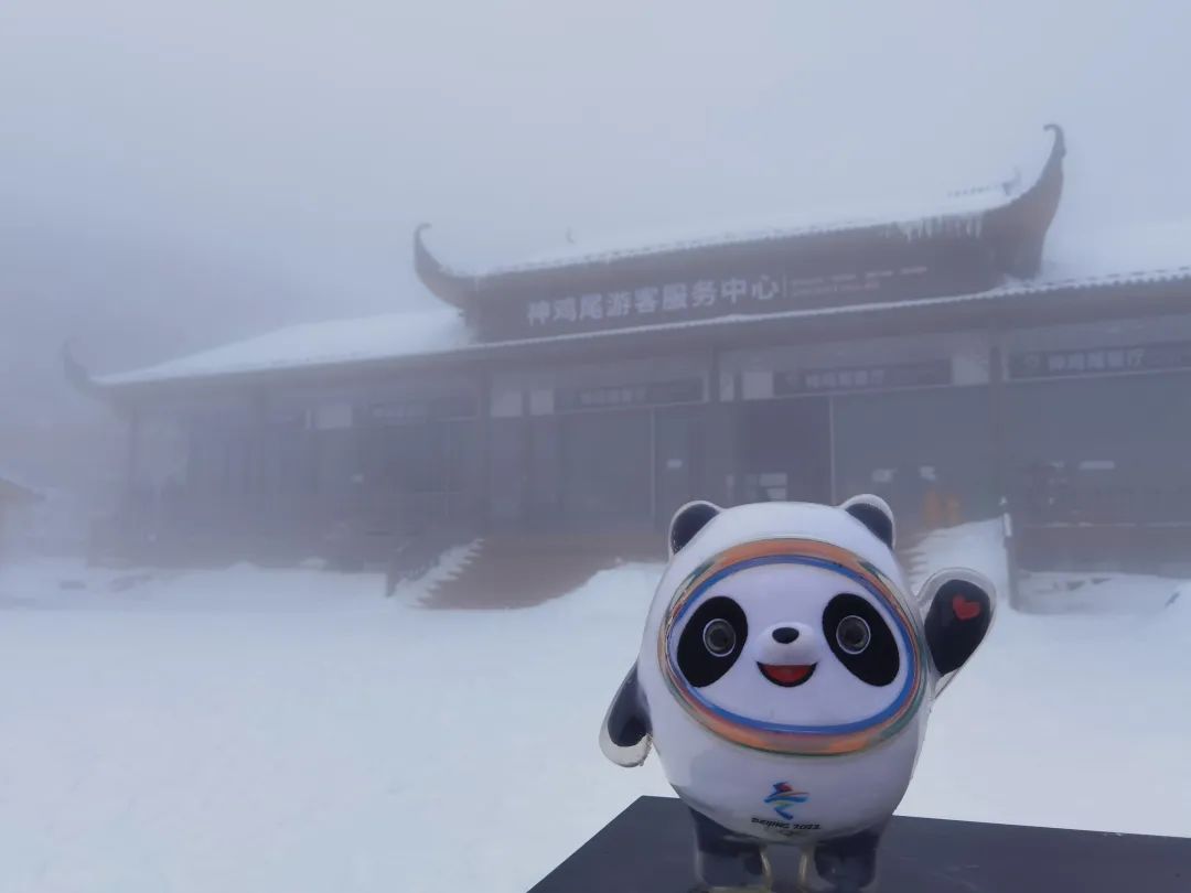 北京2022年冬奥会吉祥物"冰墩墩"(首发版)打卡张家界七星山,在山顶