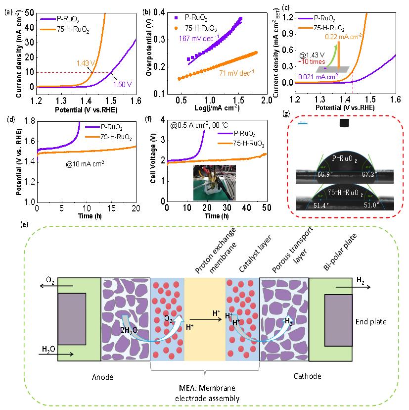 三電極體系和spe裝置對原樣p-ruo2和最優樣品75-h-ruo2進行電化學測試