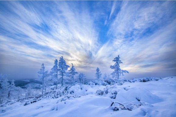 冬日的"最冷小镇"呼中,莽莽森林,皑皑白雪,一片北国林海雪原风光.